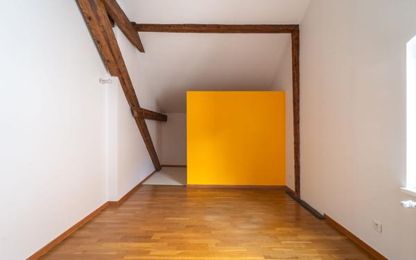 Appartement à vendre    4 pièces • 165 m2 Schiltigheim