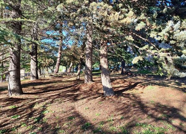 Terrain à vendre    1 800 m2 Berre-les-Alpes