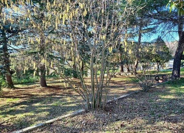 Terrain à vendre    1 800 m2 Berre-les-Alpes