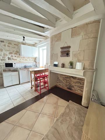 "APPARTEMENT MEUBLÉ LE MANS 1 PIECE 20M2"