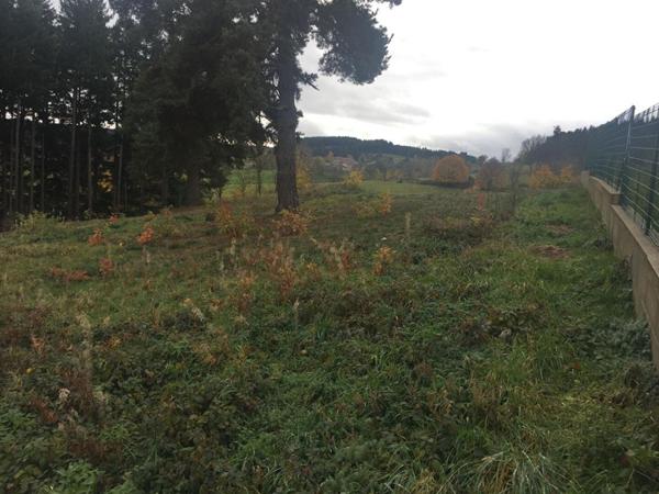 Dunières 43220 terrain constructible viabilisé environ 1218 m², très bonne exposition et vue dégagée