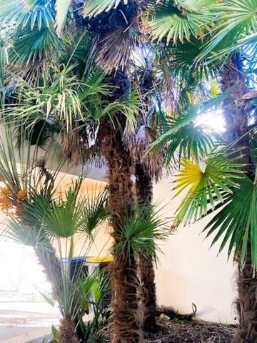 Maison Perigny 180 m2