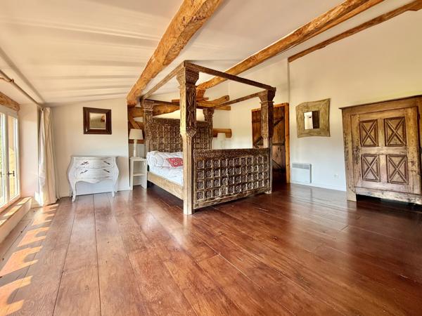 Château médiéval avec 6.5 hectares, dépendances et vue sublime