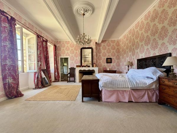 Château médiéval avec 6.5 hectares, dépendances et vue sublime