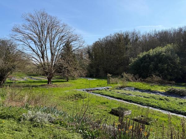 Maison écologique en pleine nature