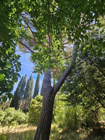 Vente                                                      Villa
                        
                     7 pièces                      200 m2                     à Draguignan