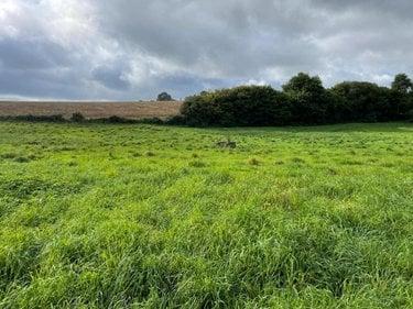 Terrain de loisirs - Bois - Etang à vendre à Reffuveille dans la Manche (50520), ref : 50020-1438