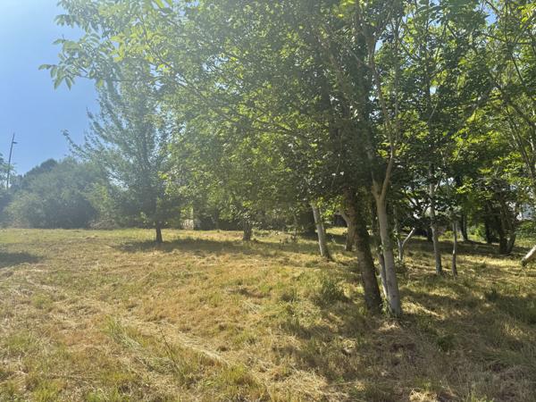 Montaigu-de-Quercy (82150) TARN ET GARONNE MONTAIGU DE QUERCY Maison en pierre au village avec 2 chambres, dépendants et 4033m2 de te