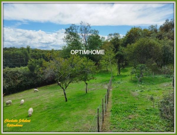 Propriété avec maison d'habitation + nombreuses dépendances + grand terrain