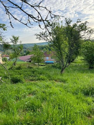 Terrain à Batir à vendre à Quincey en Haute-Saône (70000), ref : AW