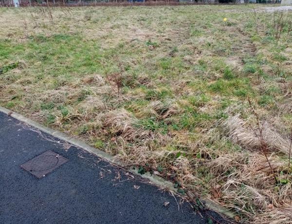 Dpt Seine Maritime (76), à vendre FAUVILLE EN CAUX terrain