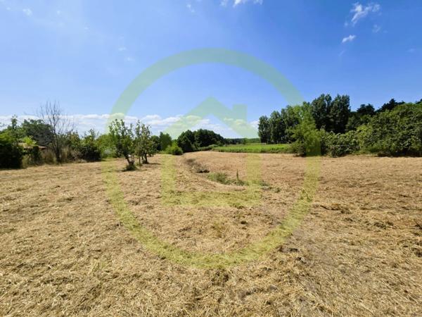 Maison à SAINT BONNET SUR GIRONDE (17150)