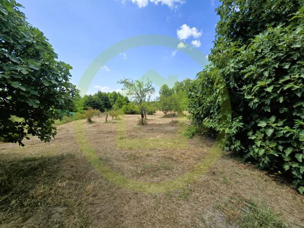 Maison à SAINT BONNET SUR GIRONDE (17150)