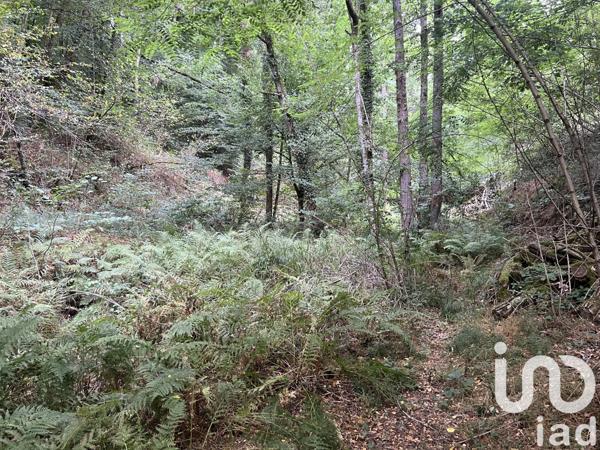 Maison à vendre 4 pièces 140 m² Vigeois