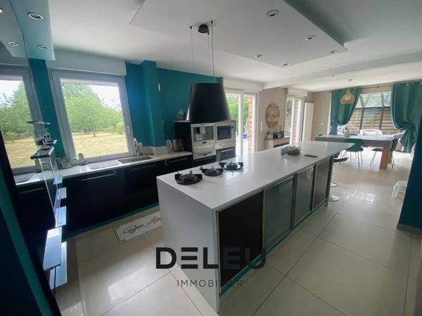 Maison individuelle 4 chambres avec jardin arboré de 1800 m² plein sud à Wasquehal