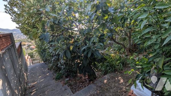 Maison T5 94 m² et studio indépendant 41 m² sur 1030 m² vue dégagée et proximité colline