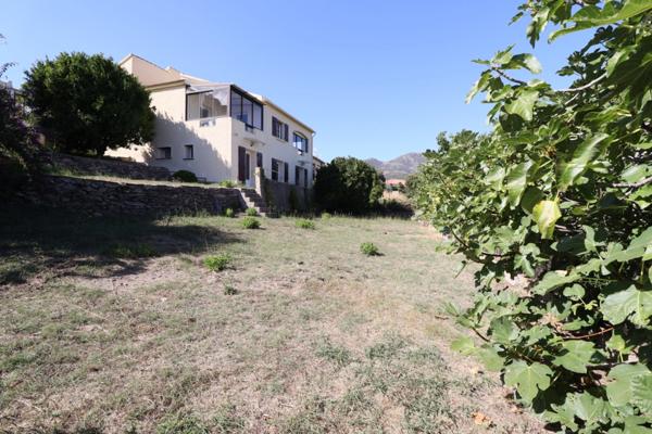 Maison de charme, tranquille avec terrain et vue mer exceptionelle à FURIANI Haute-Corse (20)