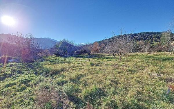 Terrain à vendre    Ria-Sirach