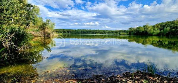 Terrain de 240 000 m²