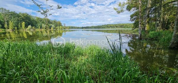 Terrain de 240 000 m²