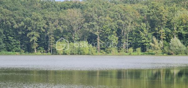 Terrain de 240 000 m²