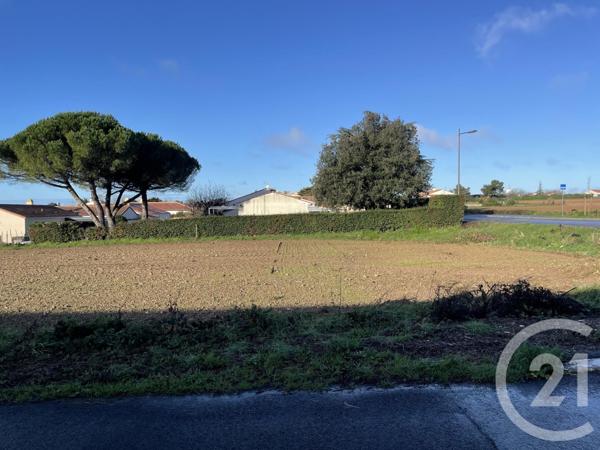 Terrain à vendre  521 m2 LONGEVILLE SUR MER - 85