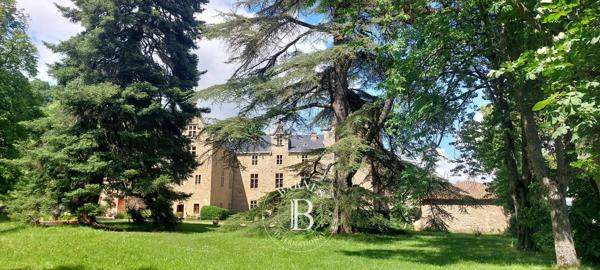Millau, Château 11 Chambres -  890 m² à vendre