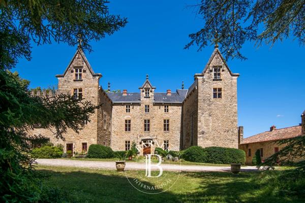 Millau, Château 11 Chambres -  890 m² à vendre