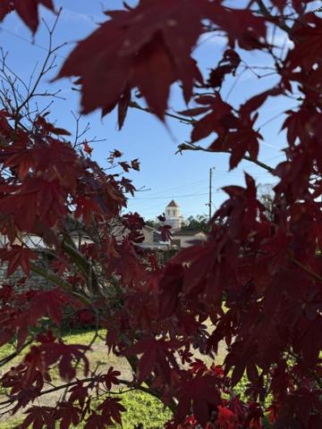 Maison individuelle Cozes 125 m²