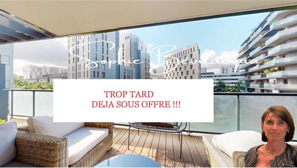 T3 ULTRA LUMINEUX GRANDE TERRASSE VUE DEGAGEE