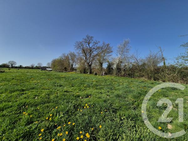 Terrain à vendre  1073 m2 LOUGE SUR MAIRE - 61