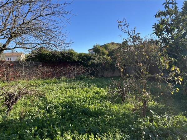 Terrain à vendre |  Montbazin |  503 m²