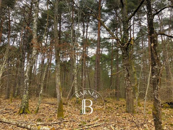 Lamotte-Beuvron, Château  530 m² à vendre