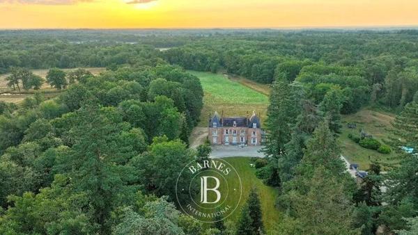 Lamotte-Beuvron, Château  530 m² à vendre
