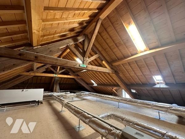 Ancien presbytère rénové récemment avec terrain arboré