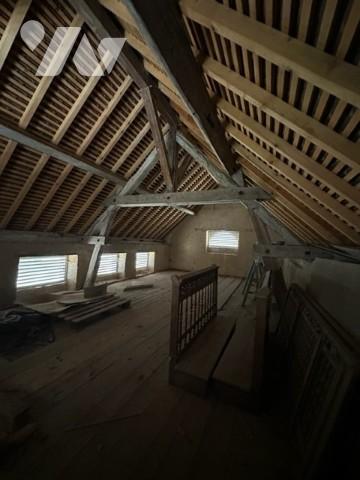 Ancien presbytère rénové récemment avec terrain arboré