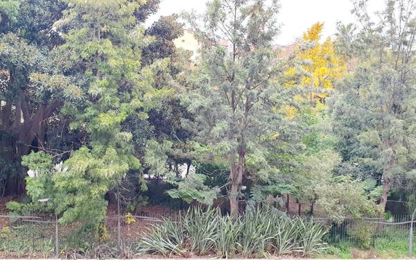 Appartement à vendre    1 pièce • 28 m2 Nice