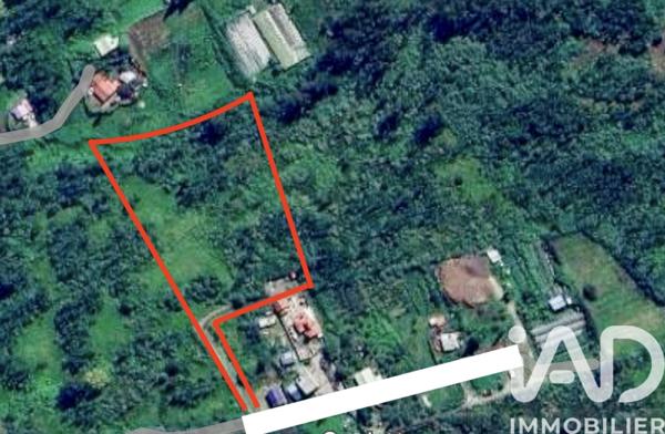 Terrain à vendre 9 377 m² Le Tampon