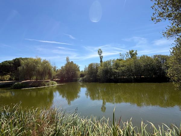 SOULLANS 85300 - DOMAINE PRIVE DE 3,2 HECTARES CLOS - PROPRIETE D'EXCEPTION AVEC GRANGES ET PRESQU'ILE