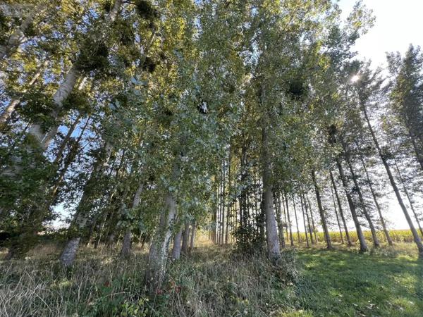 Achat - Terrain de loisirs, bois, étangs Caulnes 22350 17094 m 2