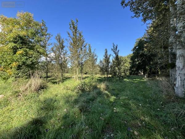 Achat - Terrain de loisirs, bois, étangs Caulnes 22350 17094 m 2
