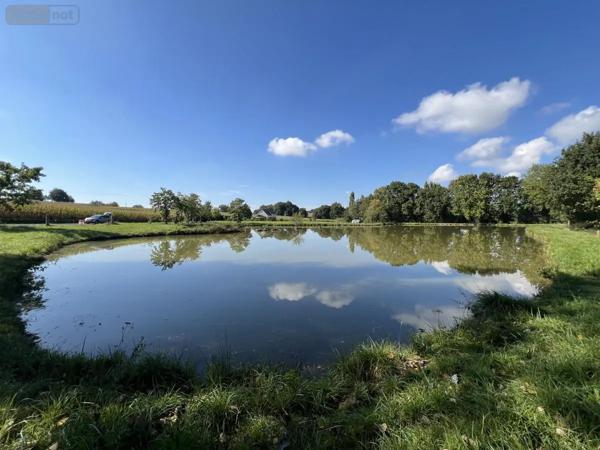 Achat - Terrain de loisirs, bois, étangs Caulnes 22350 17094 m 2