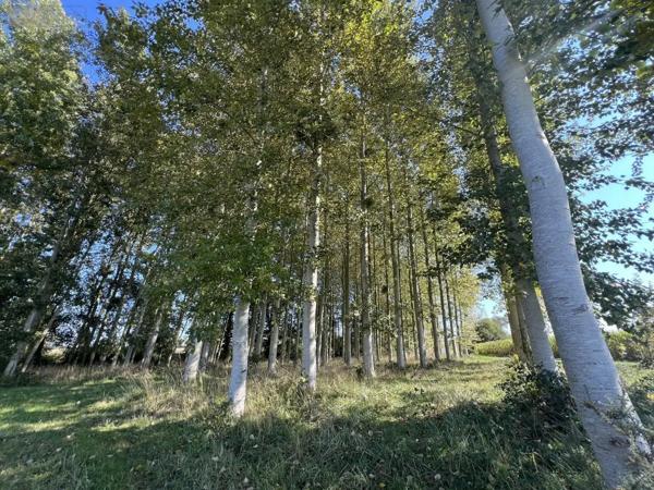 Achat - Terrain de loisirs, bois, étangs Caulnes 22350 17094 m 2