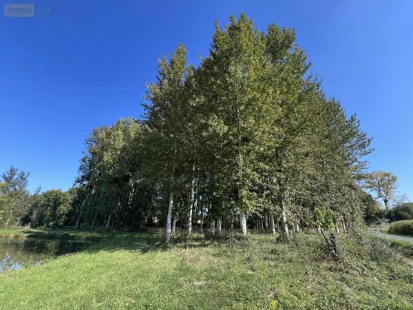 Achat - Terrain de loisirs, bois, étangs Caulnes 22350 17094 m 2