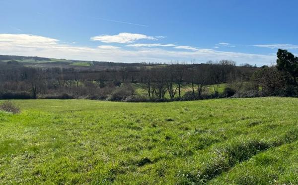 Terrain à vendre |  Sainte-Colombe-en-Bruilhois |  6295 m²