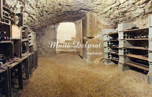 CAROMB (84) COEUR DE VILLAGE TYPIQUE - Maison à vendre 9 pièces - 260M2 - JARDIN INTIME AMENAGE