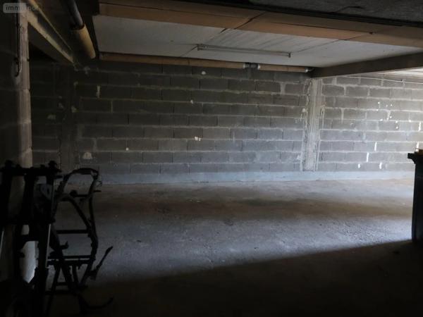 Achat - Maison | Pavillon Cenon-sur-Vienne 86530 7 pièces 145 m 2 1839 m 2