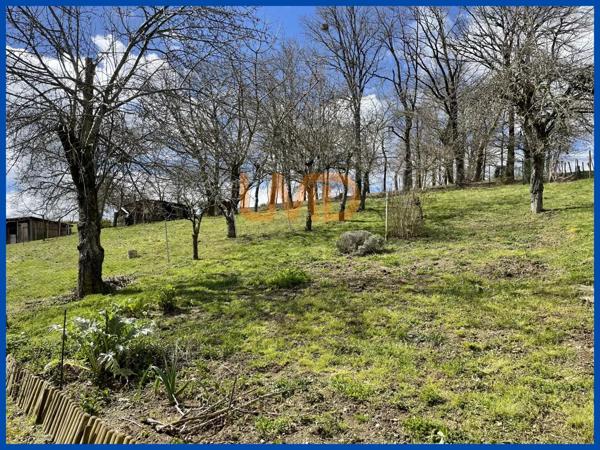 Belle maison sur sous-sol complet sur un grand terrain.