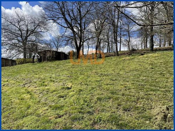 Belle maison sur sous-sol complet sur un grand terrain.