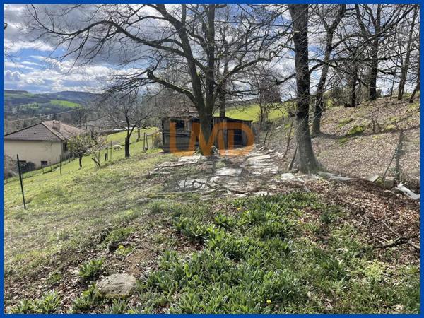 Belle maison sur sous-sol complet sur un grand terrain.